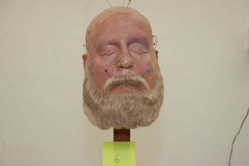 Beard, Light grey, 20 cm / 8"