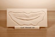 Prosthetic mould Cut throat 01