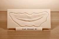 Prosthetic mould Cut throat 01