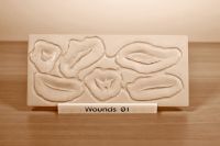 Prosthetic mould Wounds 01