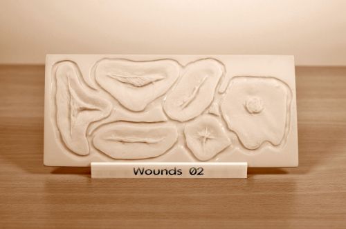 Prosthetic mould Wounds 02