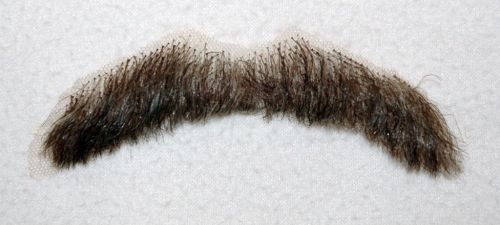 Moustache, Dark brown 