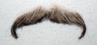 Moustache, Brown grey