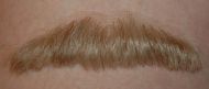 Moustache, Blond