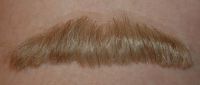 Moustache, Blond